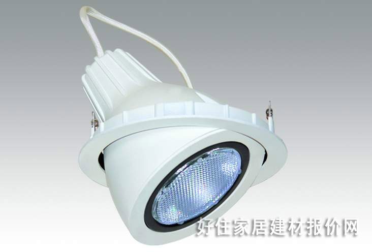 丽晶金卤射灯 带底座B254 35w 白色